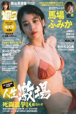 美女总裁老婆